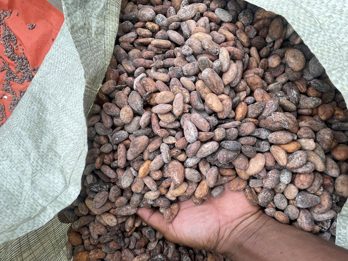 muganzi secure sectrine tweet media