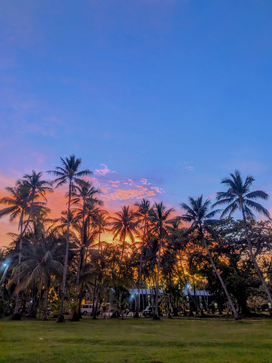 うみ🌴チュークの沈没船ガイド tweet media