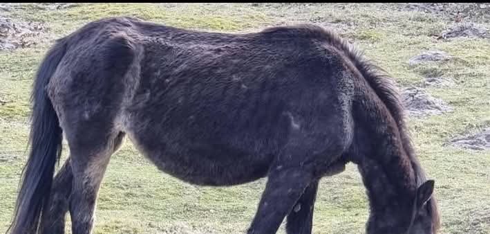 PernilleSKN tweet media