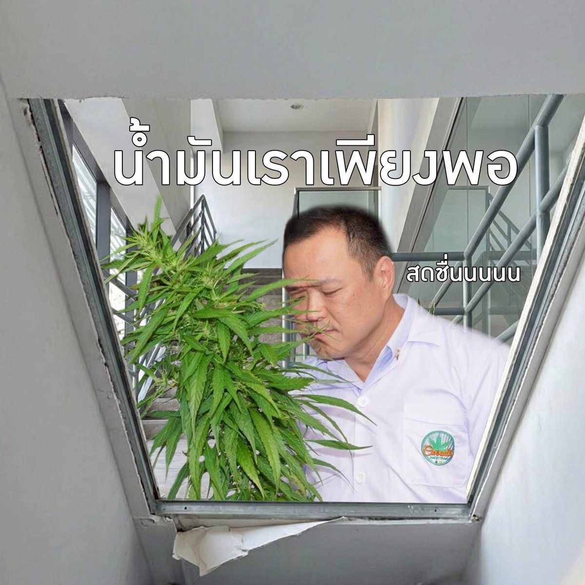 EVE'S Official tweet media