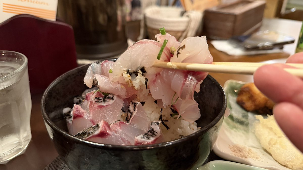 いきなり若旦那♨️旅館×猫YouTuber tweet media