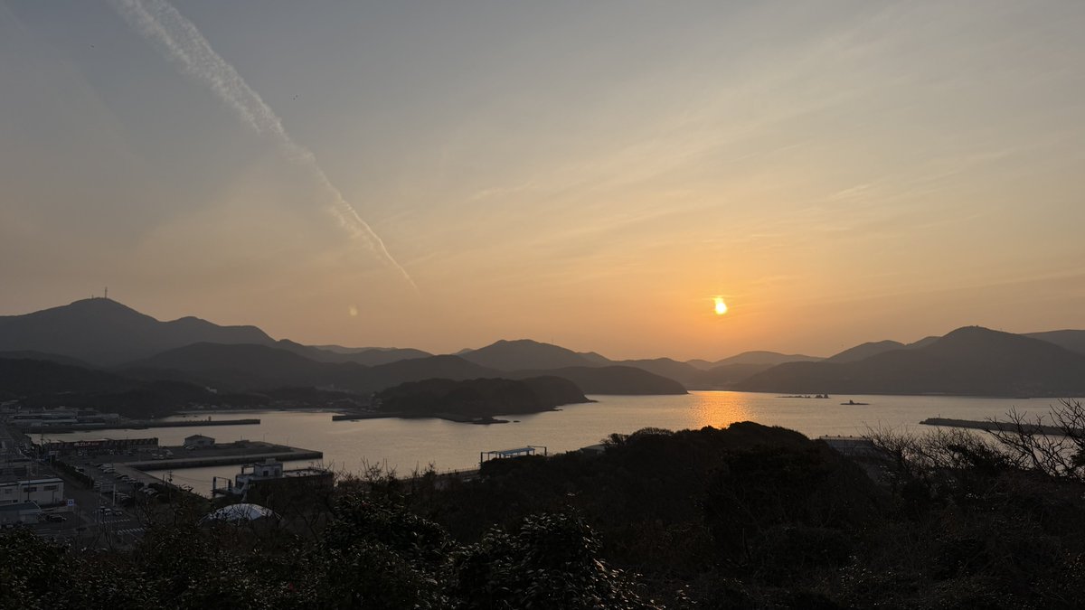 いきなり若旦那♨️旅館×猫YouTuber tweet media