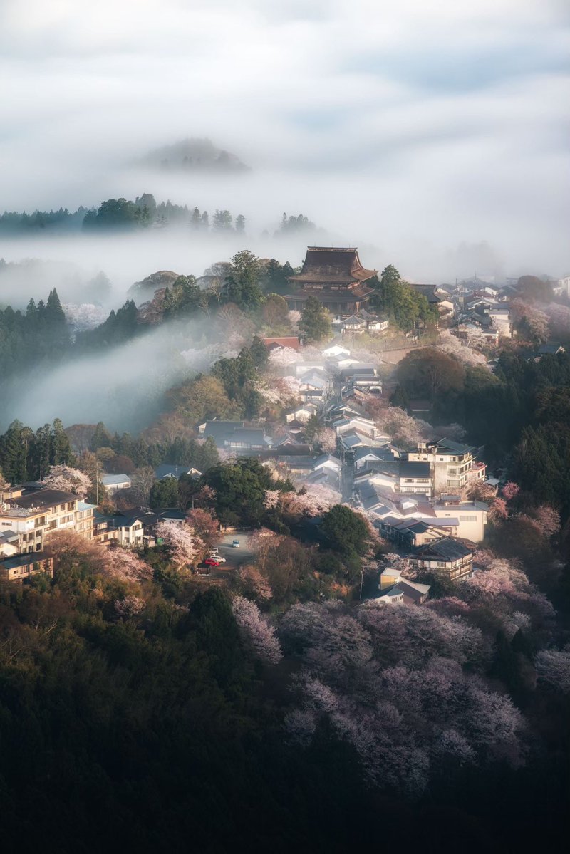 関岡 大晃 | Hiroaki Sekioka tweet media