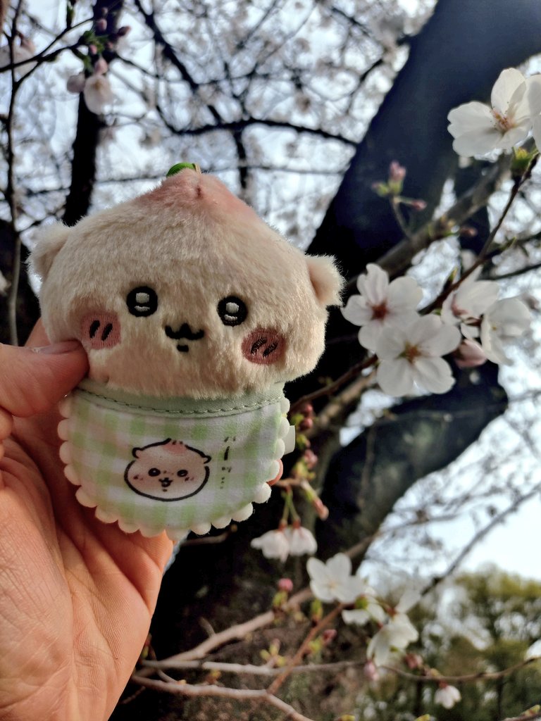 katou@ちいかわ痛バイク🏍 tweet media