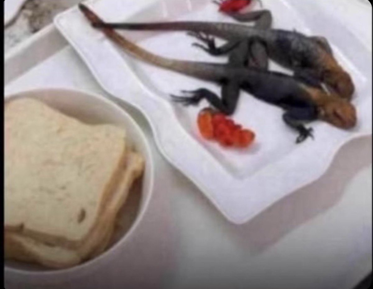 4ty4🪐 tweet media