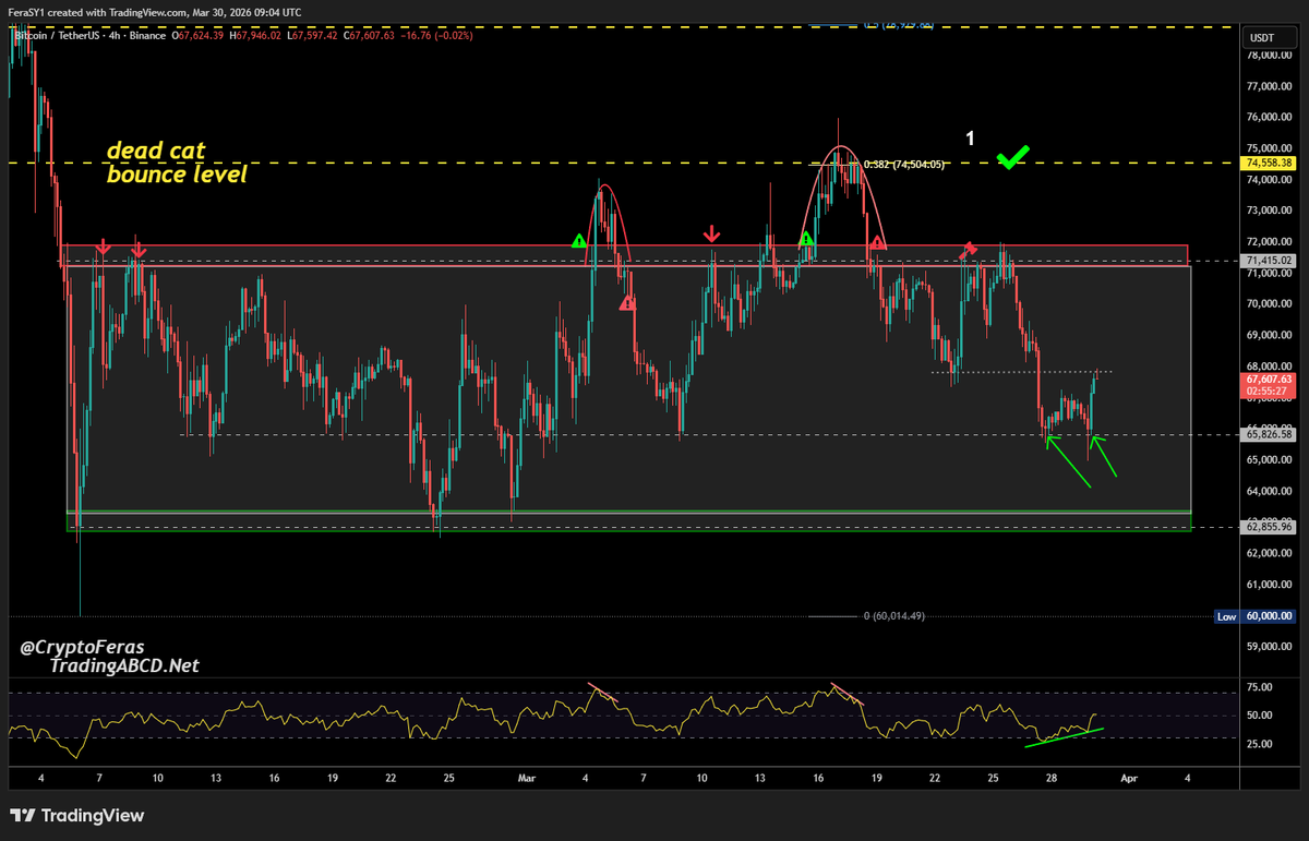 Crypto Feras  tweet media