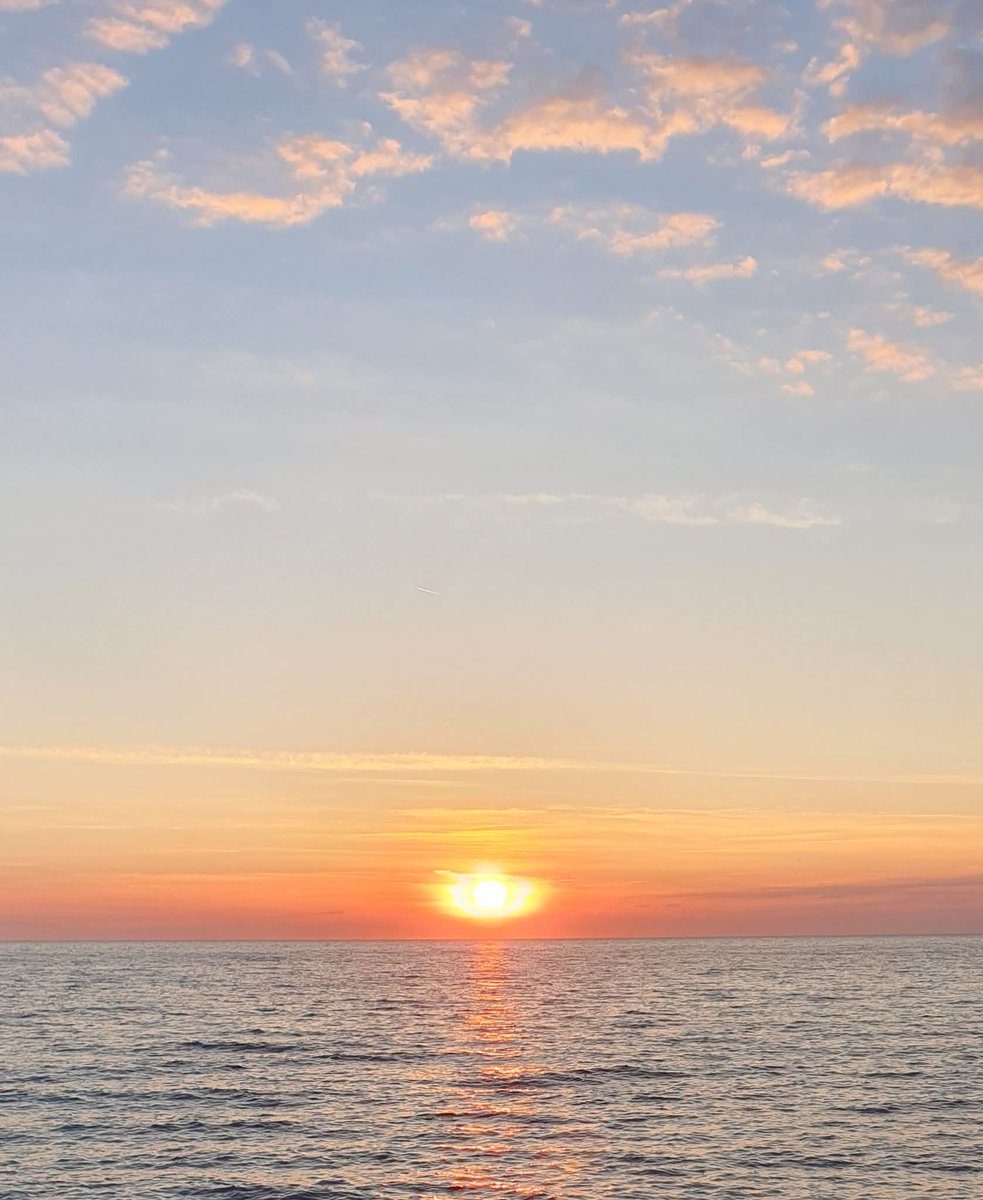 GrrreenRat tweet media