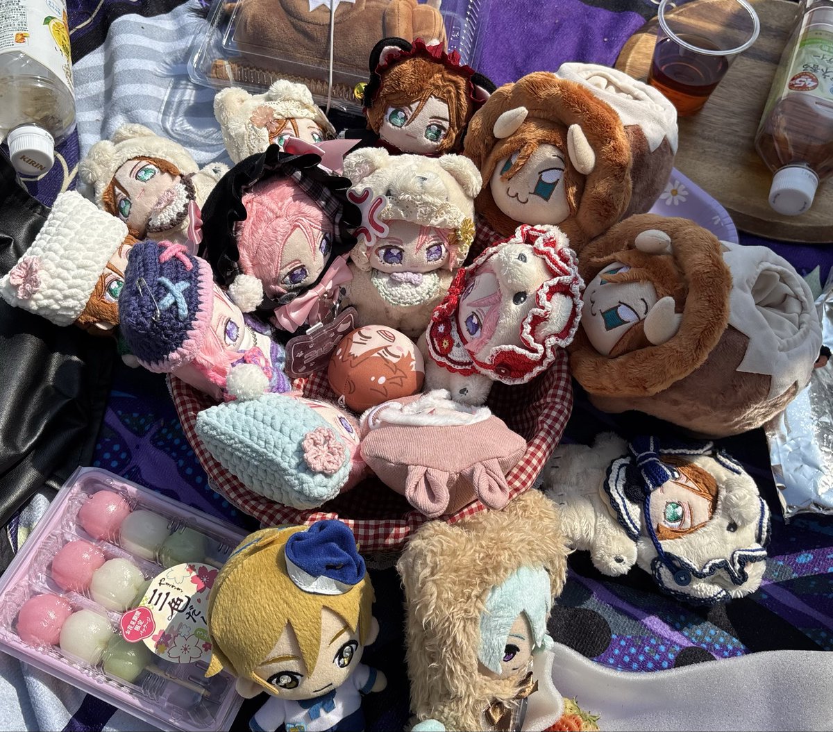 ハルジオン🤭 tweet media