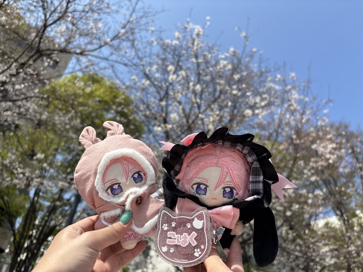 ハルジオン🤭 tweet media