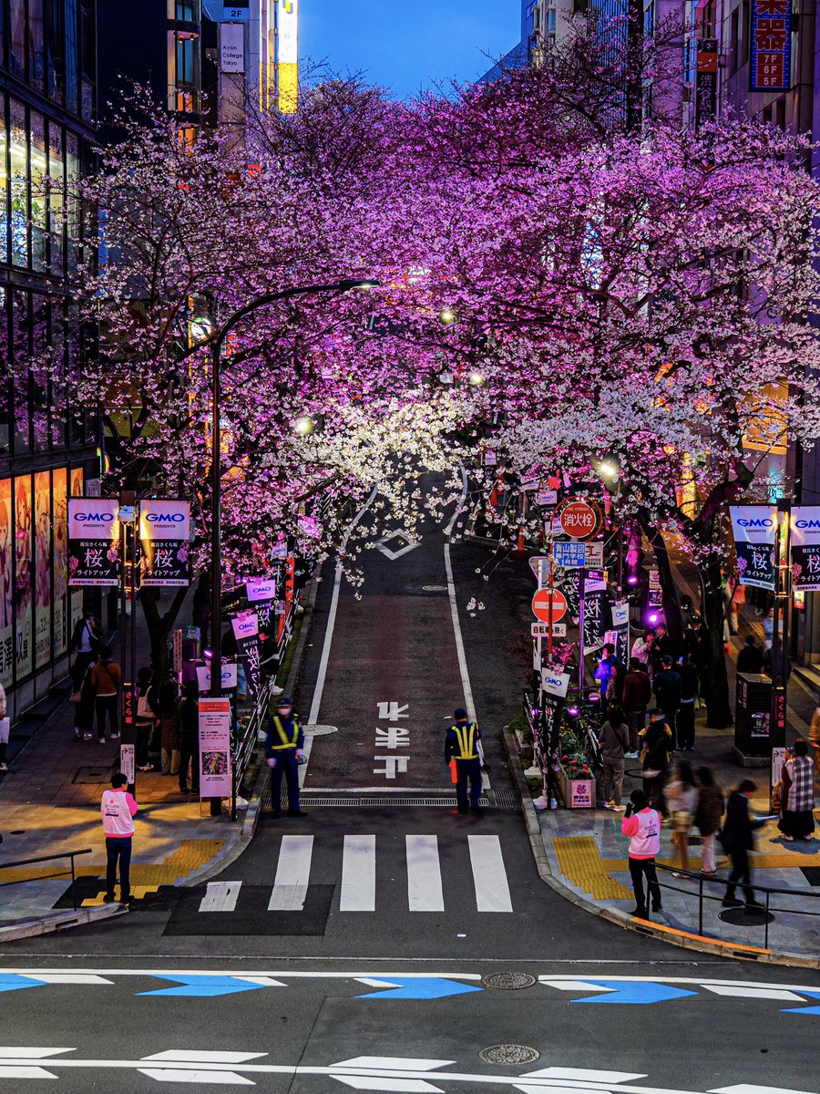 ワカル｜WAKARU tweet media