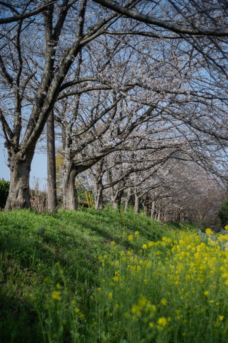 YOuSUKE_photo@NATURE4th 4/23-26 tweet media