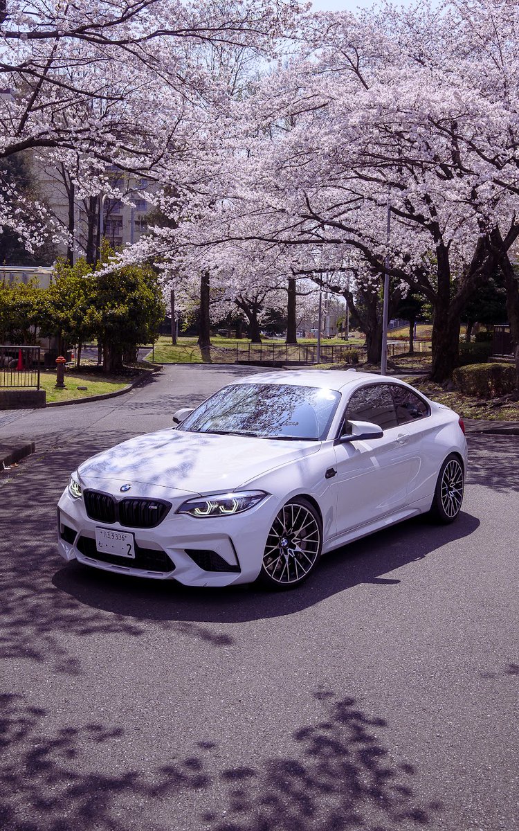 Brandon 📷 tweet media