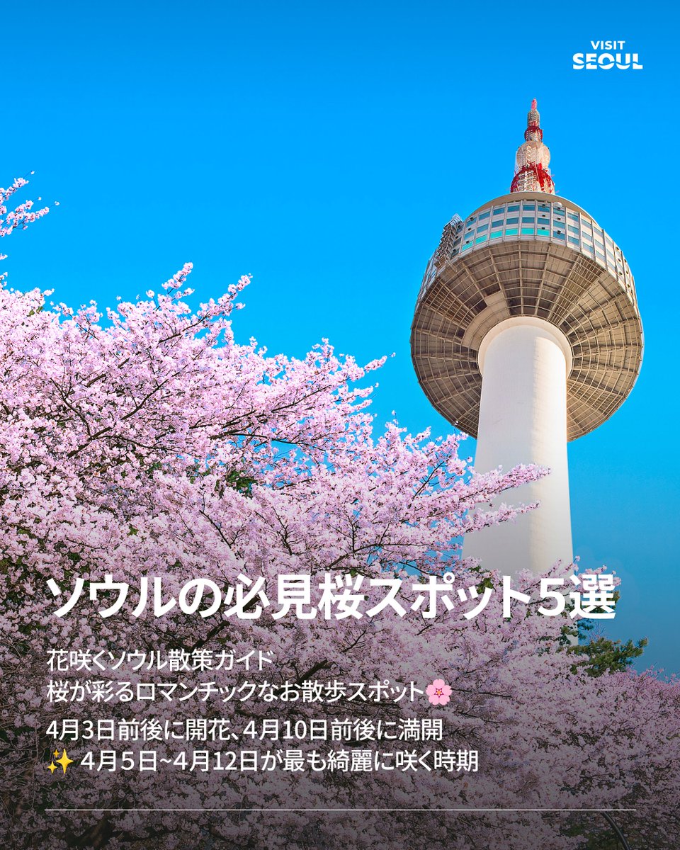 VisitSeoul_JP's tweet photo. ソウルをピンク色に染める春がもうすぐ訪れます🌸

古宮の静かな風景から公園や湖、散策路まで
今春、散歩にぴったりなソウルの名所を事前にチェックして、特別な春の日の瞬間をぜひ体験してください 💕

キョンボックン(景福宮)
🚇地下鉄3号線キョンボックン駅5番出口徒歩492m
📍 ソウル市チョンノ区サジクロ161
서울 종로구 사직로 161

ソウルの森
🚇スインブンダン線ソウルスプ駅4番出口徒歩691m
📍 ソウル市ソンドン区トゥクソムロ273
서울특별시 성동구 뚝섬로 273

ソクチョン(石村)湖
🚇地下鉄2号線/8号線チャムシル駅3番出口徒歩379m
📆 2026湖桜祭り | 4月3日(金)-4月11日(土)
📍 ソウル市ソンパ区チャムシル洞
서울 송파구 잠실동

北ソウル夢の森
🚇地下鉄4号線ミアサムゴリ駅1番出口徒歩1.4km
📍ソウル市カンブク区ウォルゲロ173
서울 강북구 월계로 173

ヤンジェチョン(良才川)
🚇地下鉄3号線/スインブンダン線トゴク駅3番出口徒歩564m
📍 ヤンジェチョン(良才川)ヨンドン1橋-ヨンドン2橋
양재천 영동1교-영동2교