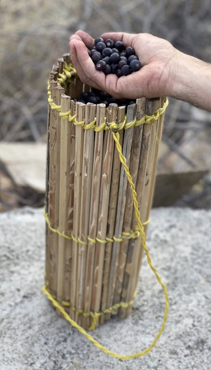 ❤︎Ⴢ̤ɹ̇ɹɹɹɡᓗɺIᴝᓄᓗᓄ🇴🇲 tweet media