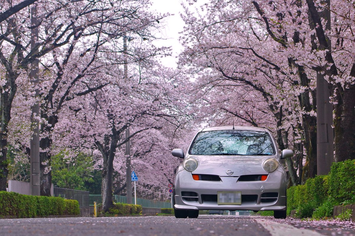 ❄️みぞれちゃん🫠❄️ tweet media