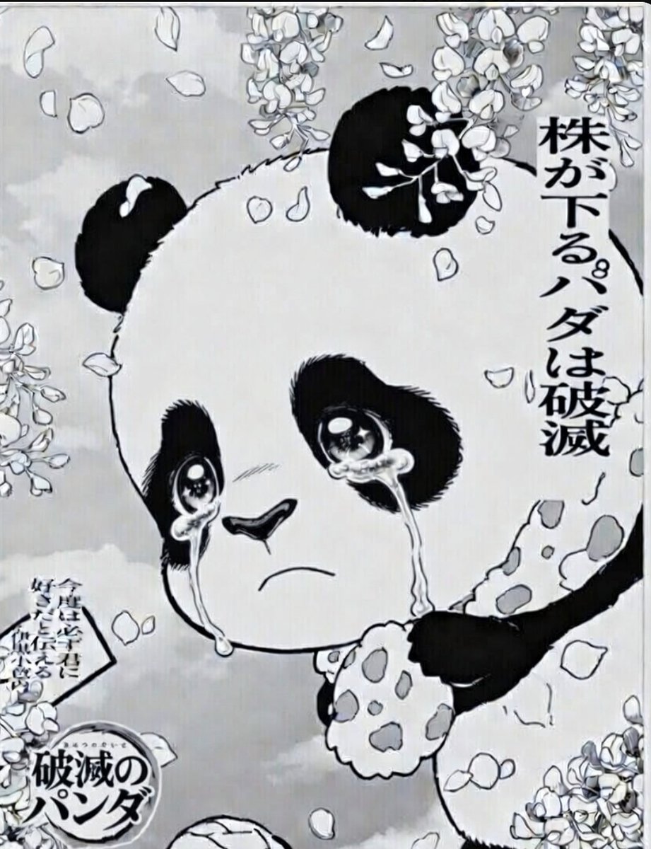 パパっぺ@投資大好き🐼 tweet media