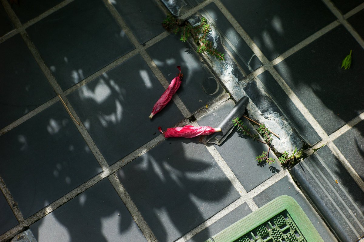 小林祐輔/Yusuke Kobayashi tweet media