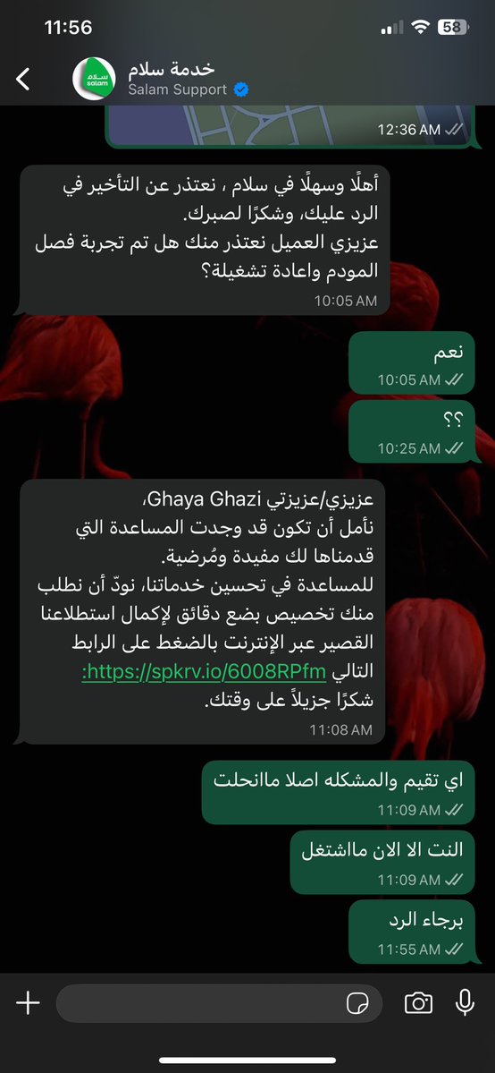 غايه الرابغي🇸🇦 tweet media