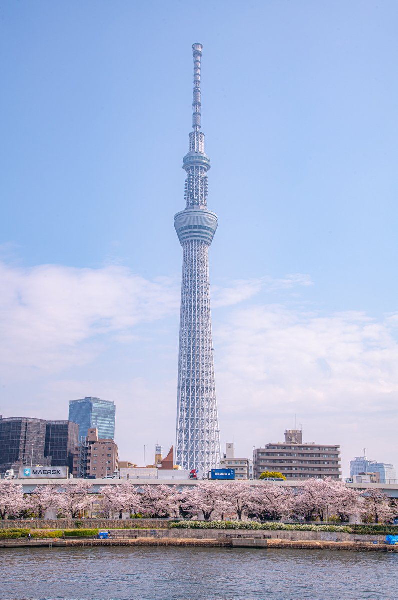 ハスカップ07 tweet media