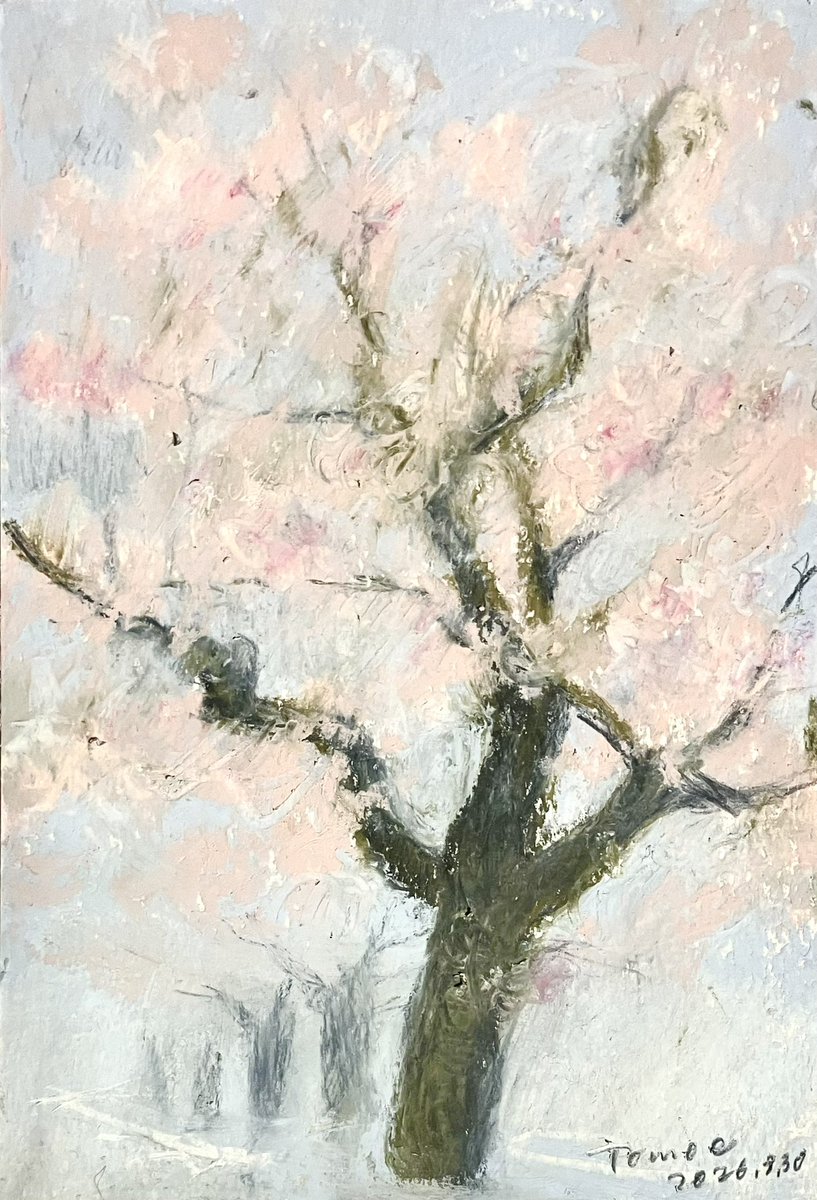今年の桜
2026.3.30

桜の良さはなかなか描ききれない
いつもよりは少しは良いかな
あくまで自分の中では…
いつも通り、桜は曇りの日が1番きれいだと思う

花ざかり
娘の足は何度も止まって進まない

#tomoe_1e
#桜
#drawing
