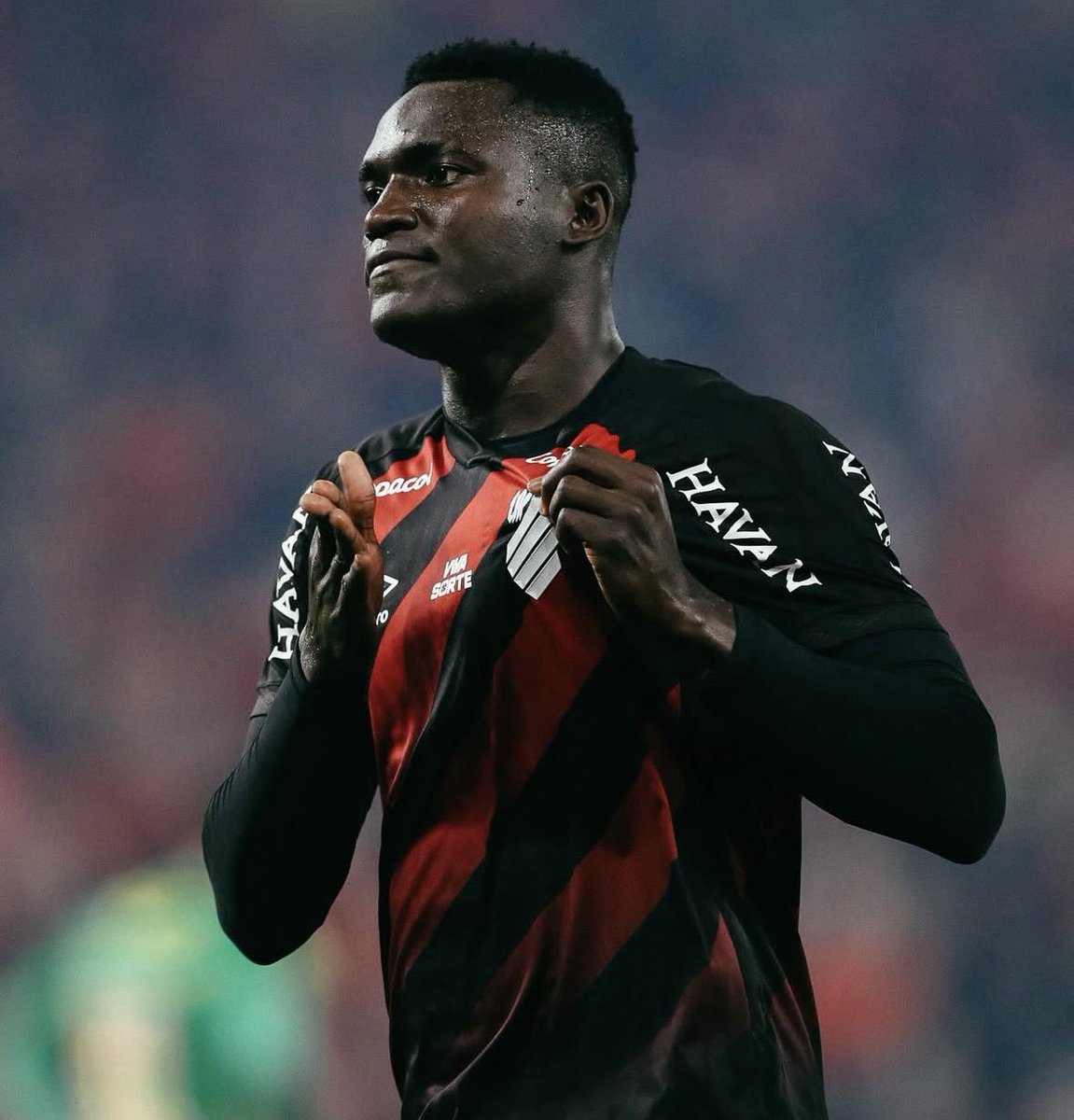 Papo Alviverde tweet media