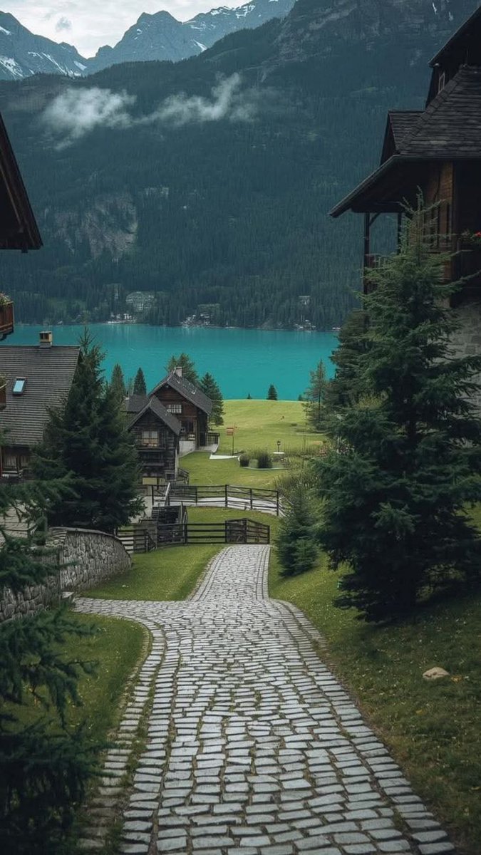 Nature's Embrace tweet media