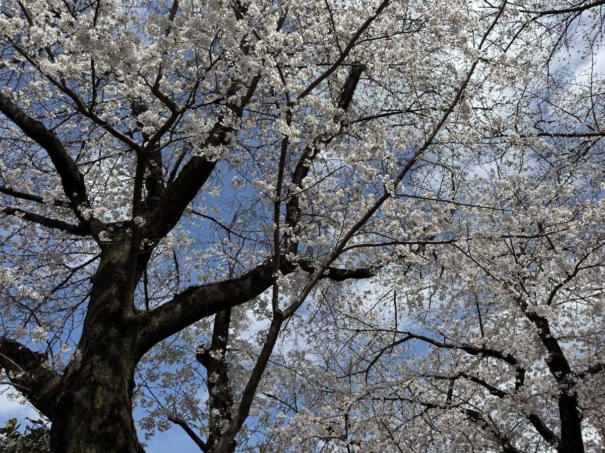 藤田玲（DUSTZ　Ray） tweet media