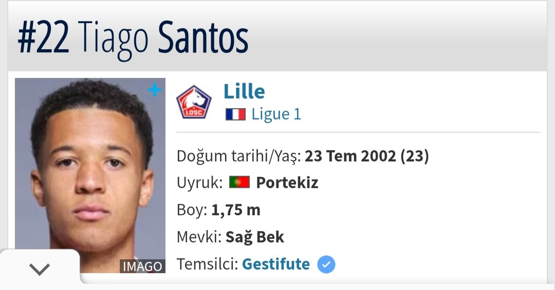 Fenerim de Fenerim tweet media