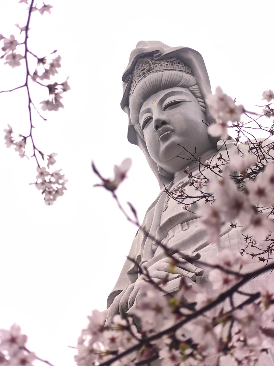 CERBERUS | Yaz 👑 tweet media