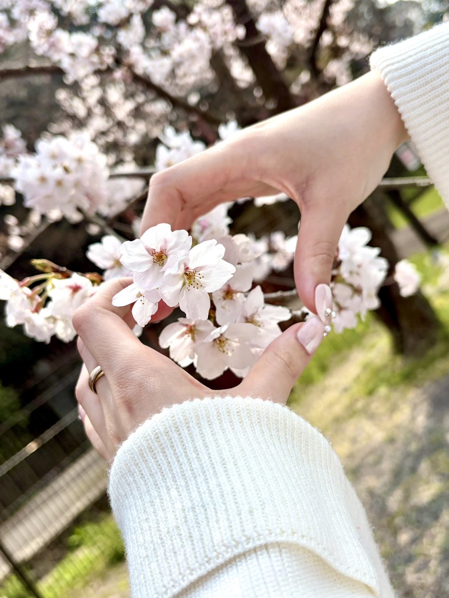 ナマノ tweet media