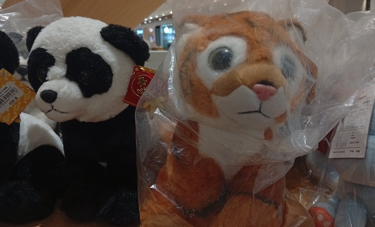 มือชงอันดับหนึ่ง tweet media