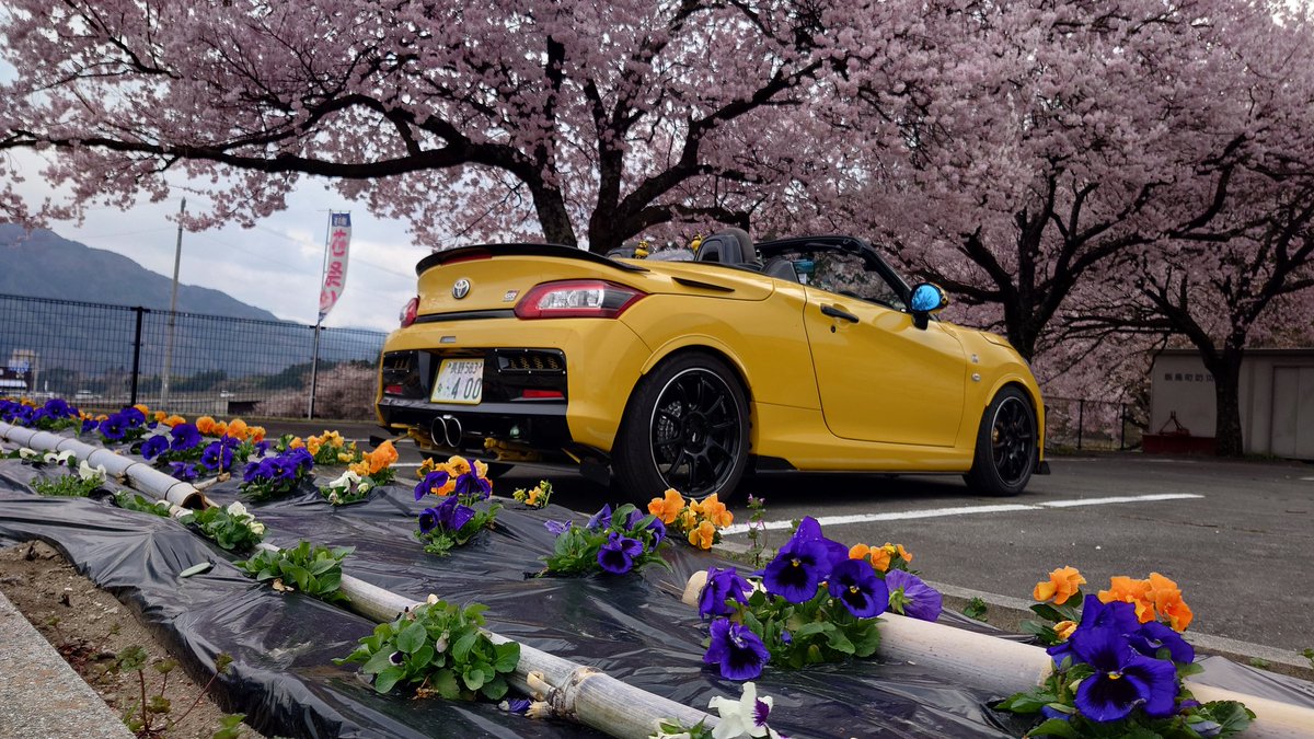 まつぼっくり tweet media