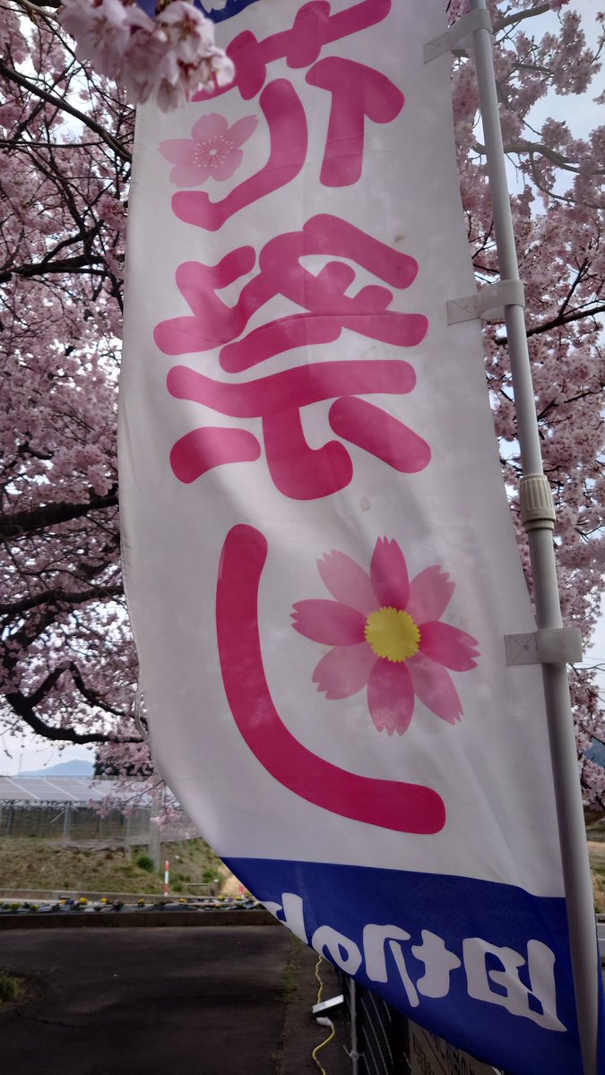 まつぼっくり tweet media