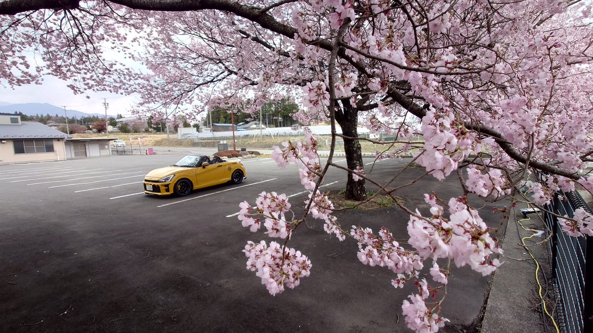 まつぼっくり tweet media