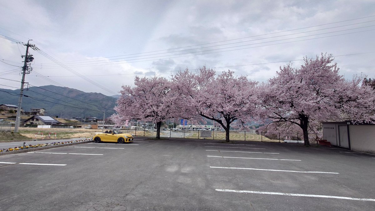 まつぼっくり tweet media