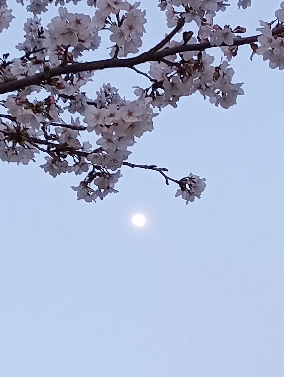 やぶ♡ tweet media