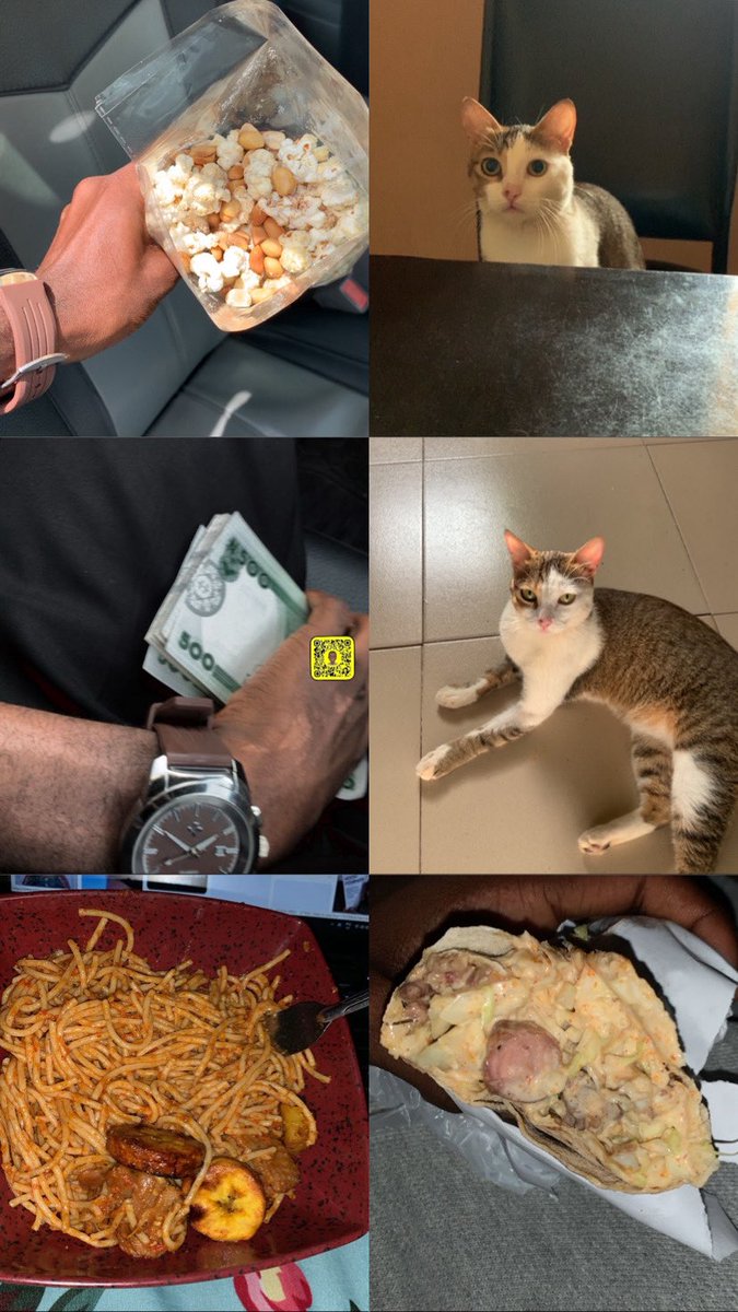 Fàdákà☆🦈 tweet media