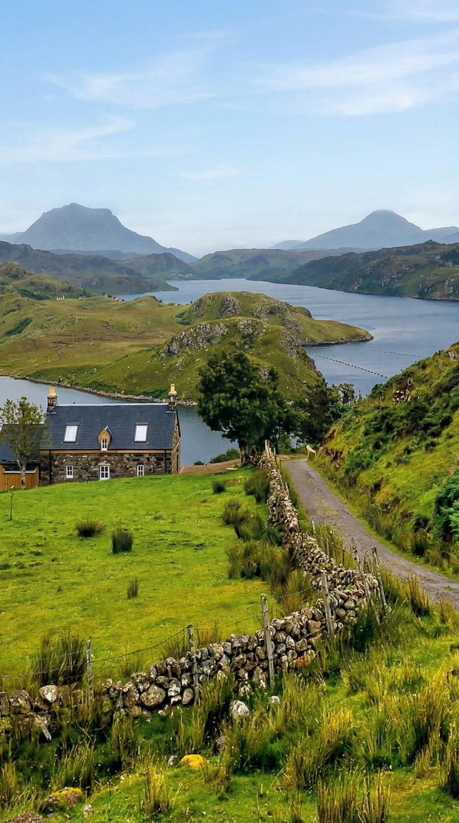 freddie barss tweet media