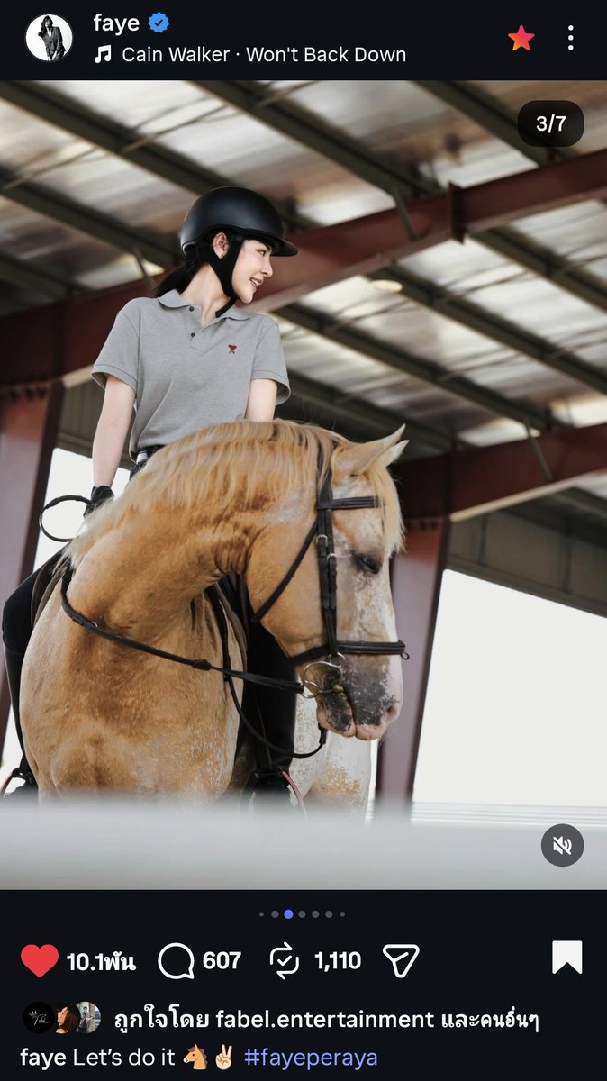 พี่มะยิ 🌻🍑 tweet media