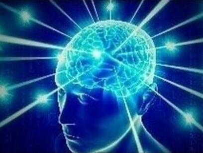 Comité Trump France tweet media