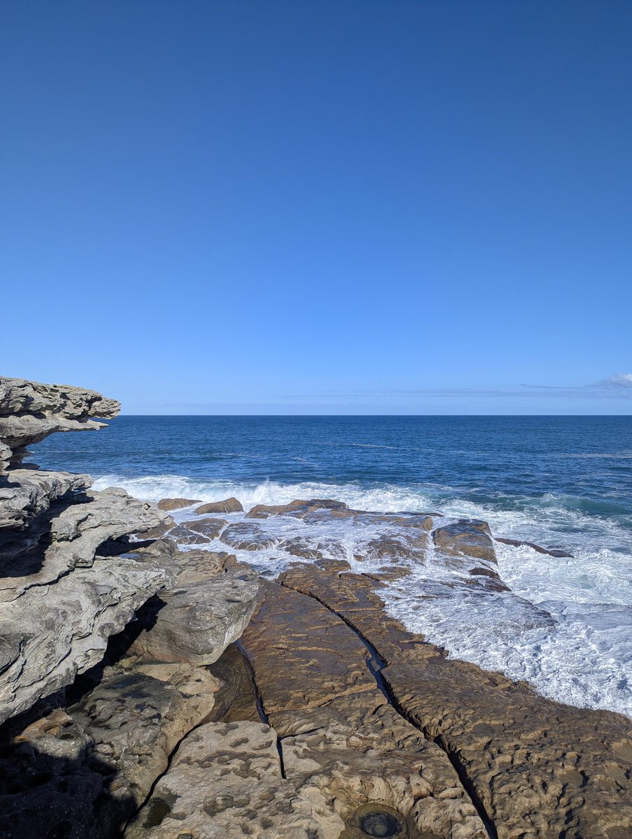 Maxi 🦘🇦🇺☦️💚💙 tweet media