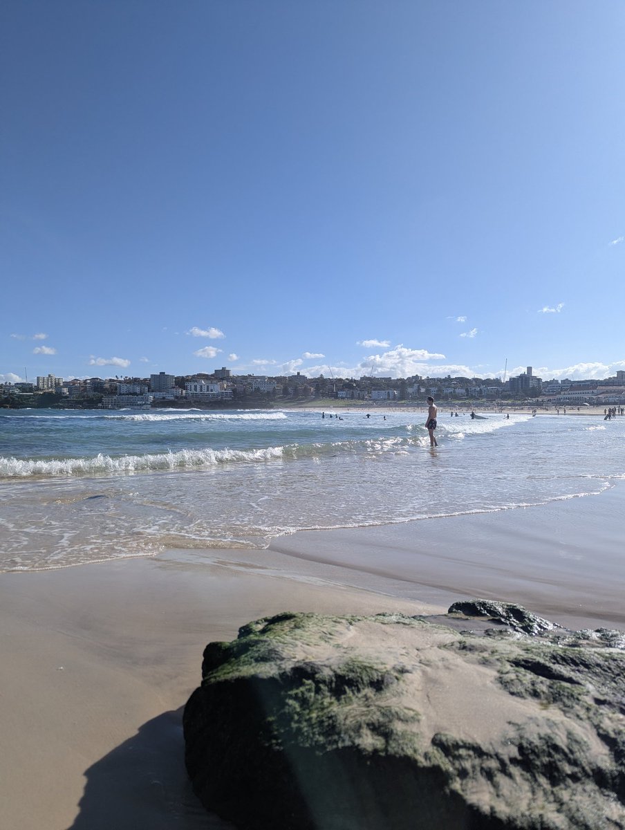 Maxi 🦘🇦🇺☦️💚💙 tweet media