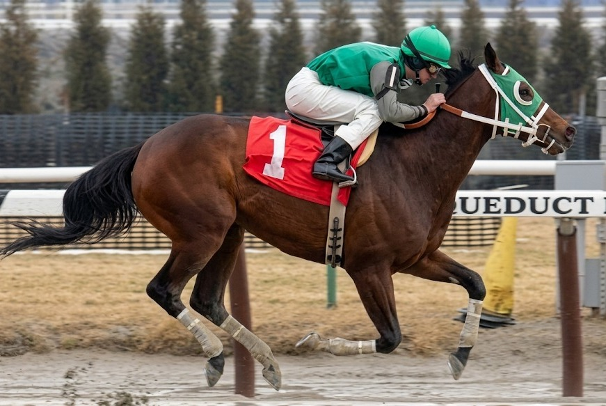 blindadosalas1's tweet photo. #Hipismo #InMemoriam El 30/03/1995 nació RADIANCE 🇻🇪 #ClaimingQueen Único purasangre nacional con más victorias (20) en #USA 18 de ellas fueron en #ClaimingRaces Ganó 5 (10) en #LaRinconada Luego 20 (67) en #Aqueduct #Saratoga #BelmontPark y #Calder
Murió en #HarasOropal (2011) https://t.co/QtOqprORyz