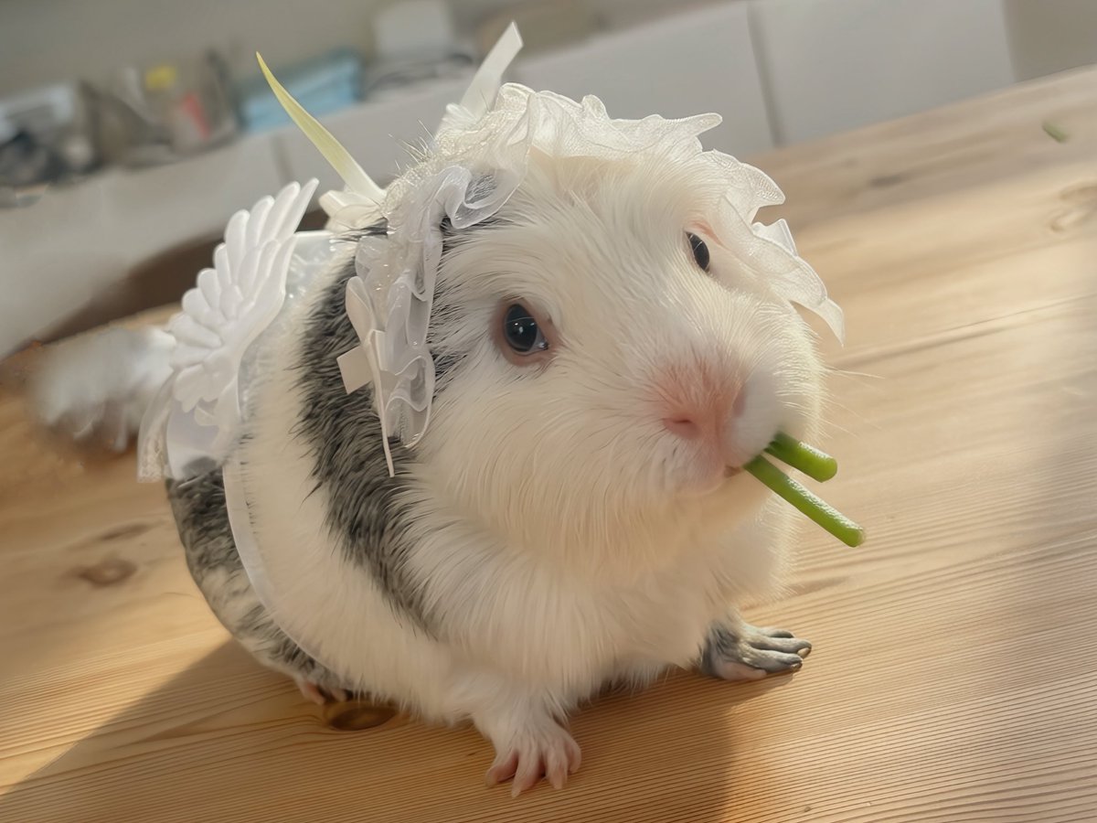 ほにゅうズ tweet media