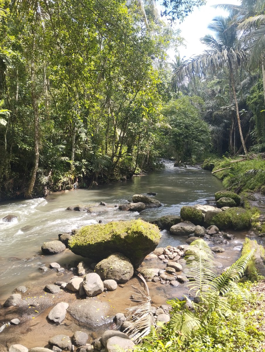 wy putra tweet media