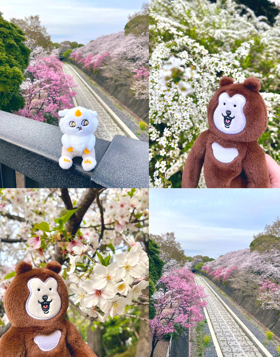 きゃらめる tweet media