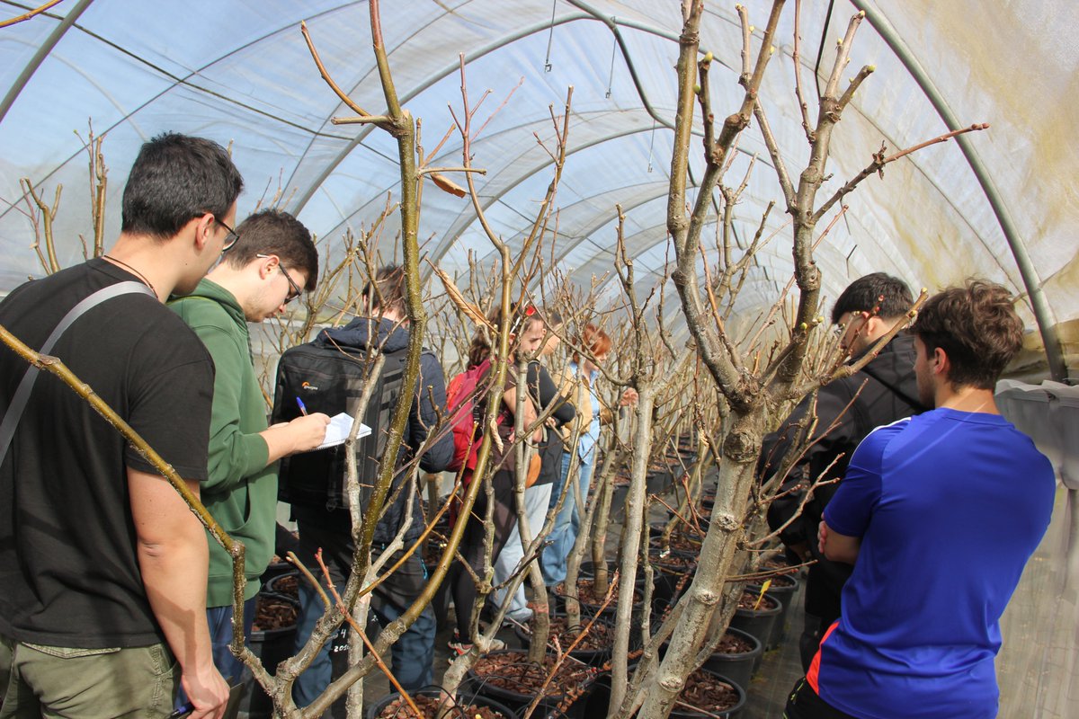 SeridaAst's tweet photo. 📷 Visita a la Granja Demo de Les Baragañes de los estudiantes de Ingeniería Forestal de la Universidad de Oviedo, dentro de la asignatura de Pascicultura y Sistemas Agroforestales 🌱 https://t.co/fT60KPOQos