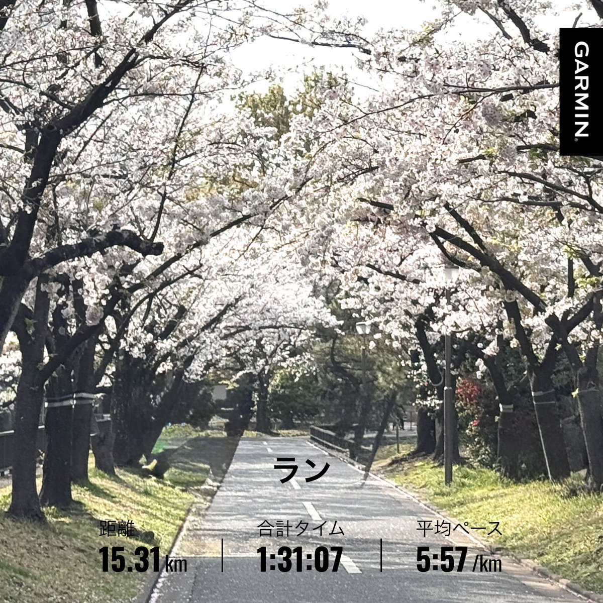 ユキ♪3/1東京マラソン tweet media