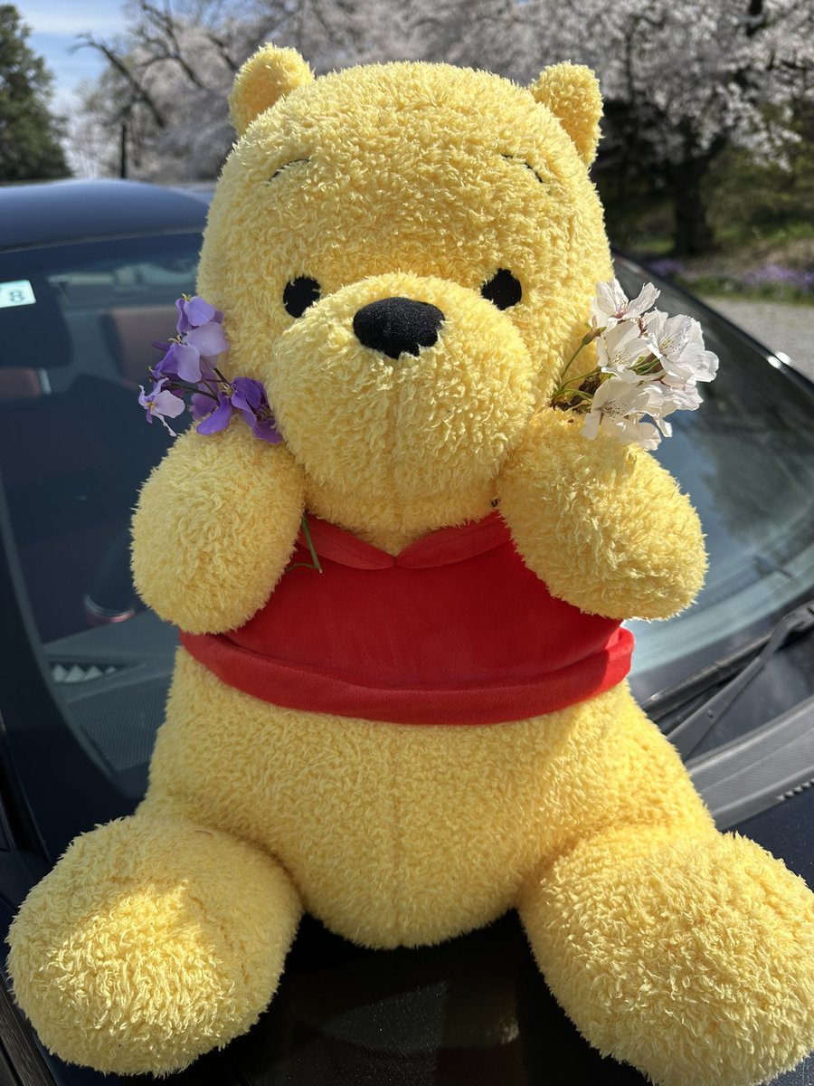 🎳紫 翠🎳 tweet media