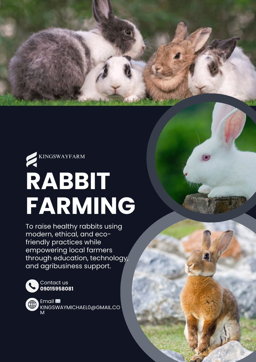 RABBITwayNxt🐇🐇🐇🐇 tweet media